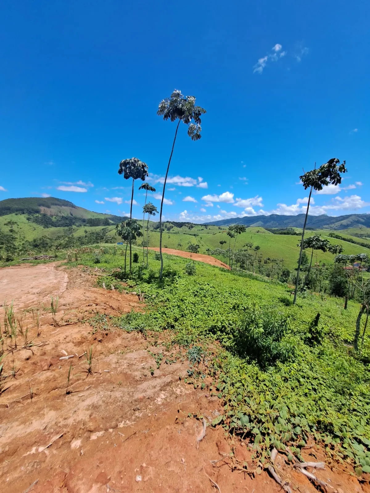 Plot for sale of 8 acres in Monteiro Lobato, SP, Brazil
