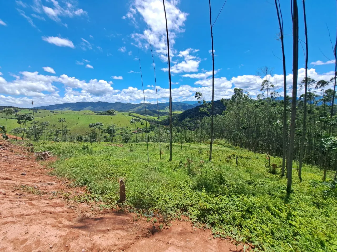 Plot for sale of 8 acres in Monteiro Lobato, SP, Brazil