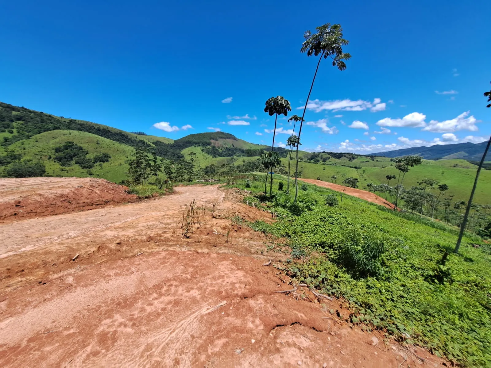 Plot for sale of 8 acres in Monteiro Lobato, SP, Brazil