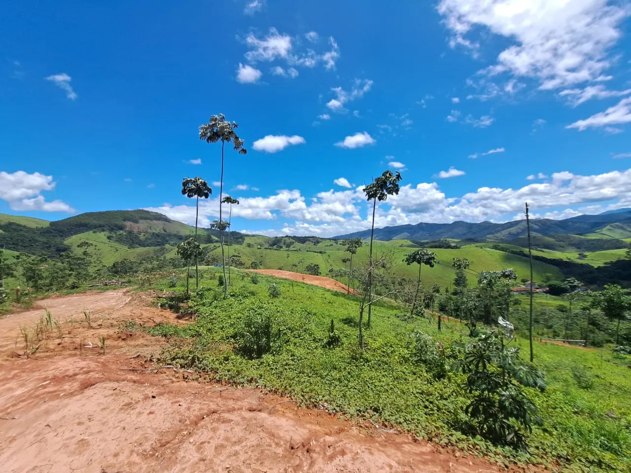 Plot for sale of 8 acres in Monteiro Lobato, SP, Brazil