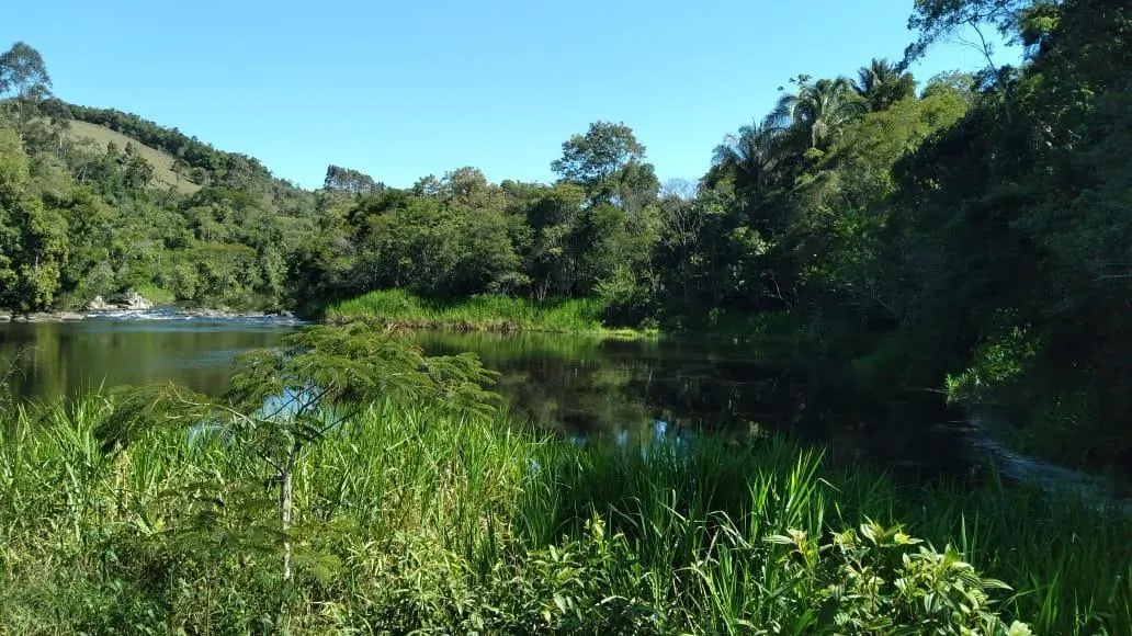 Fazenda à venda de 51 ha em São Luiz do Paraitinga, SP, Brasil
