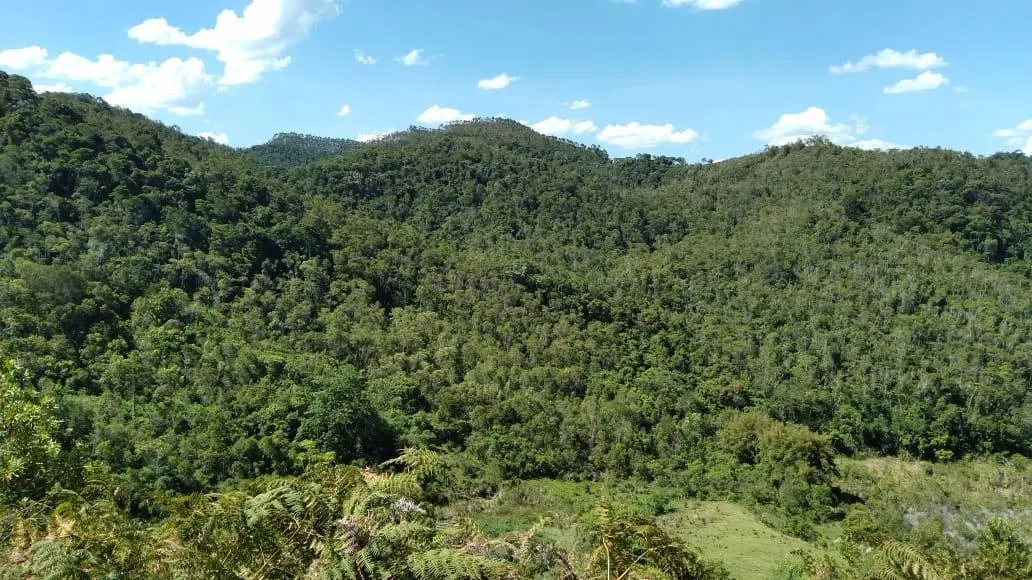 Fazenda à venda de 51 ha em São Luiz do Paraitinga, SP, Brasil