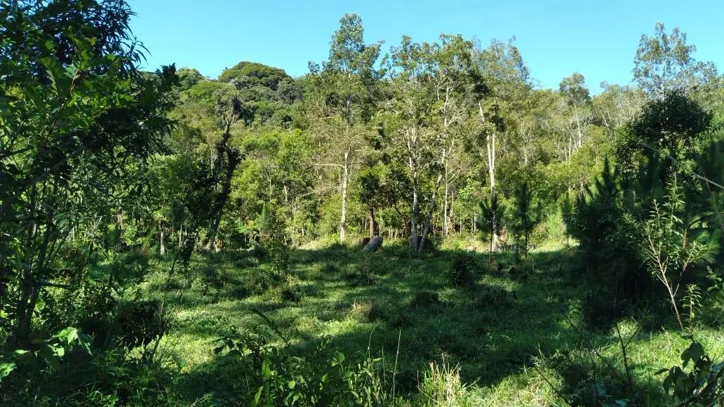Fazenda à venda de 51 ha em São Luiz do Paraitinga, SP, Brasil