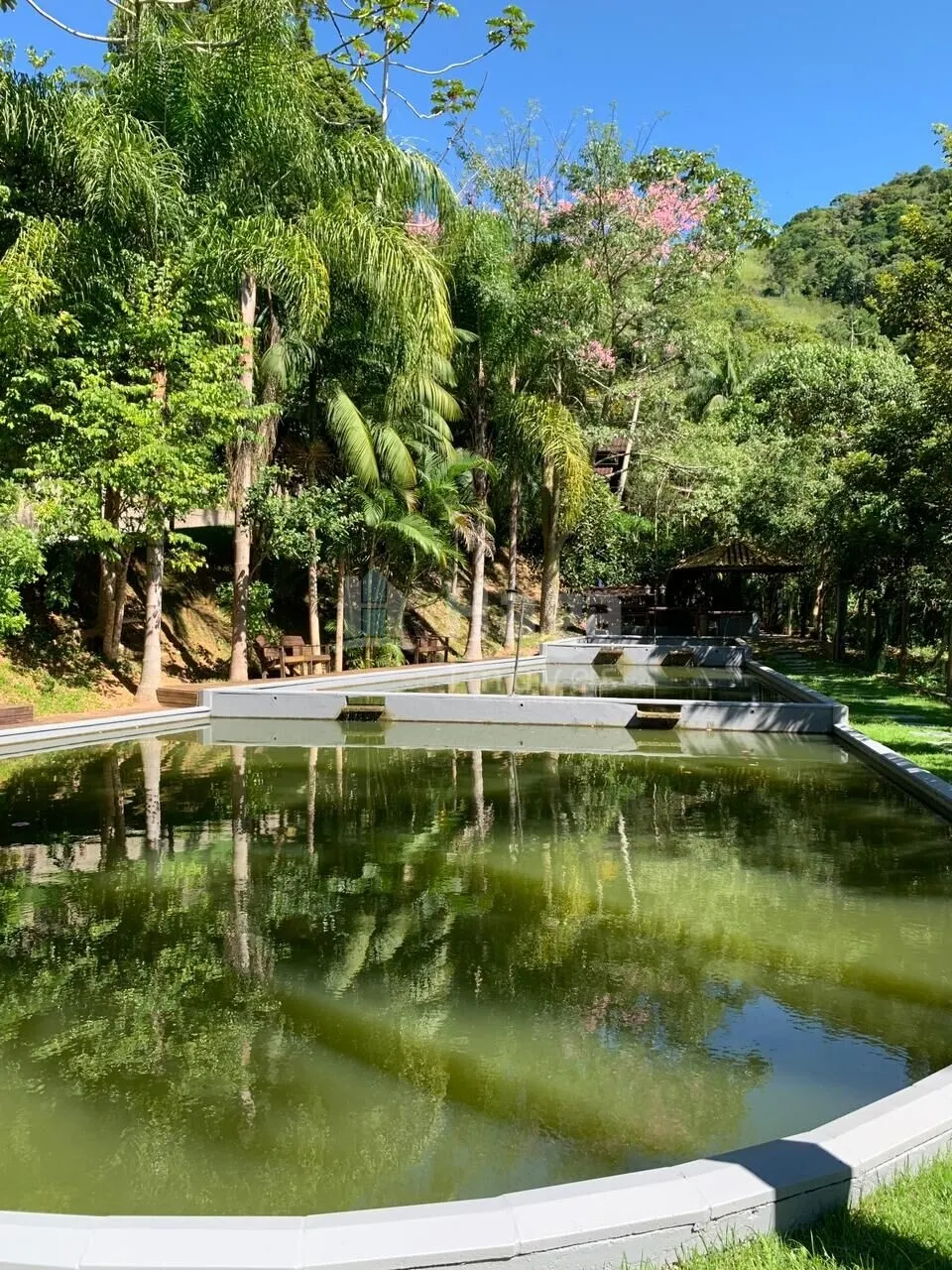 Chácara à venda de 3 ha em Tijucas, SC, Brasil