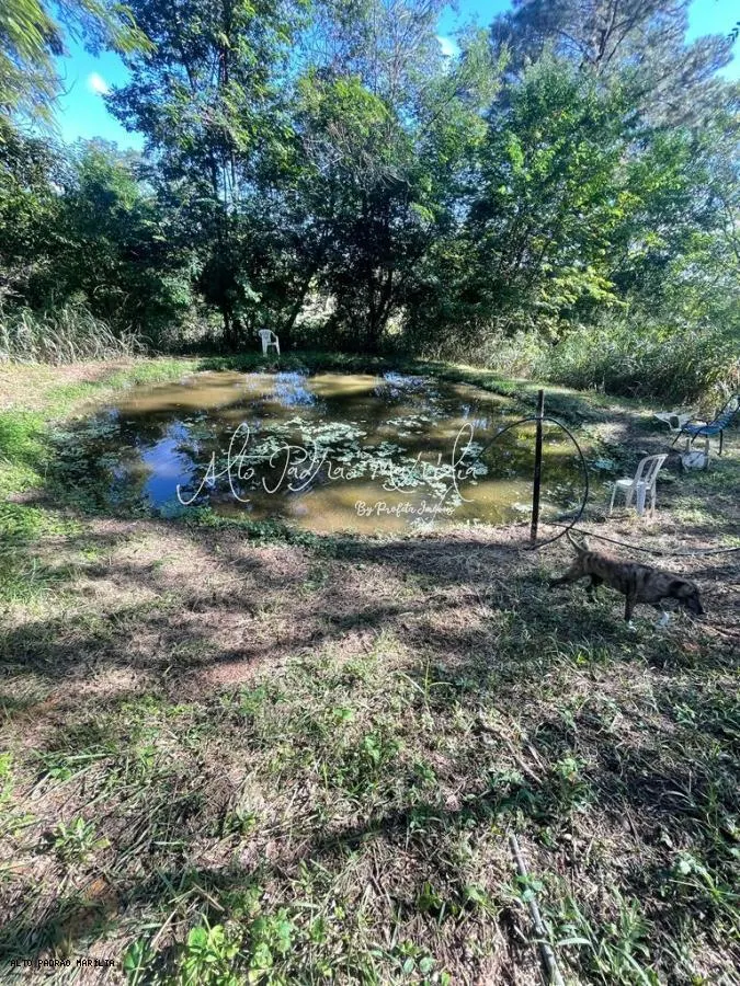 Sítio à venda de 3 ha em Marília, SP, Brasil
