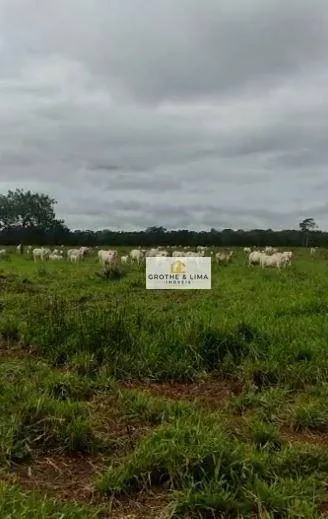 Fazenda à venda de 1.283 ha em Marianópolis do Tocantins, TO, Brasil