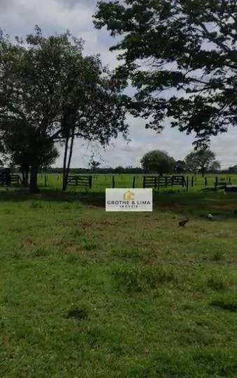 Fazenda à venda de 1.283 ha em Marianópolis do Tocantins, TO, Brasil