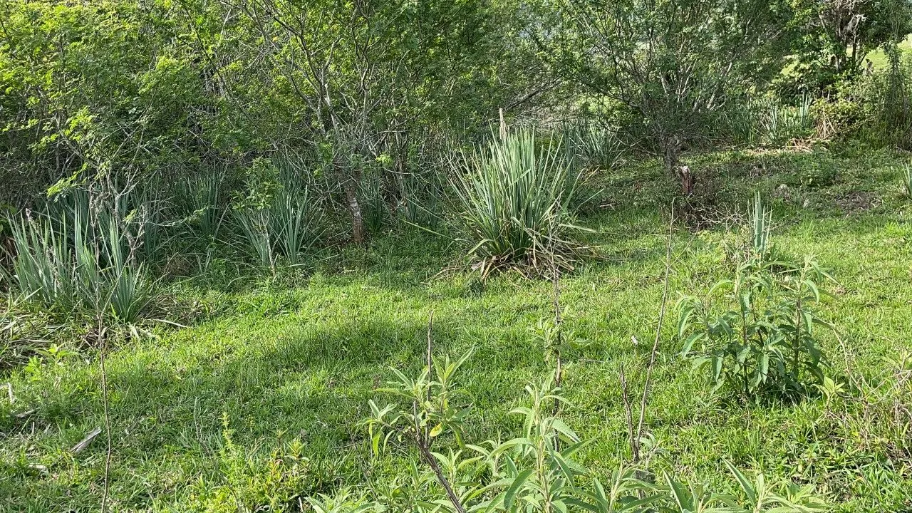 Plot for sale of 9 acres in Santo Antônio da Patrulha, RS, Brazil