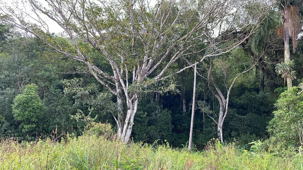 Plot for sale of 9 acres in Santo Antônio da Patrulha, RS, Brazil
