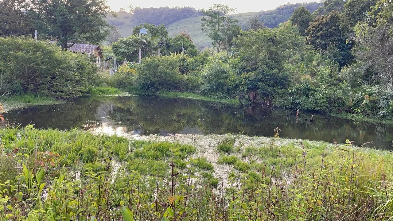 Plot for sale of 9 acres in Santo Antônio da Patrulha, RS, Brazil