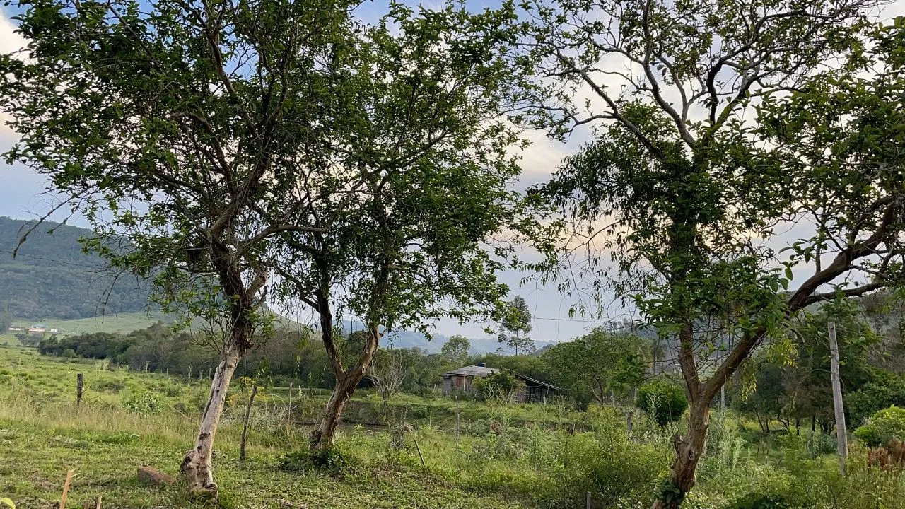 Plot for sale of 9 acres in Santo Antônio da Patrulha, RS, Brazil