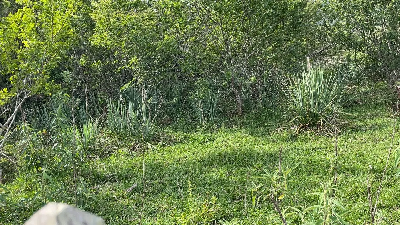 Plot for sale of 9 acres in Santo Antônio da Patrulha, RS, Brazil