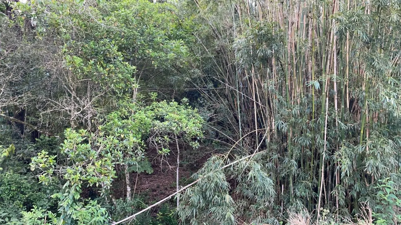 Plot for sale of 9 acres in Santo Antônio da Patrulha, RS, Brazil