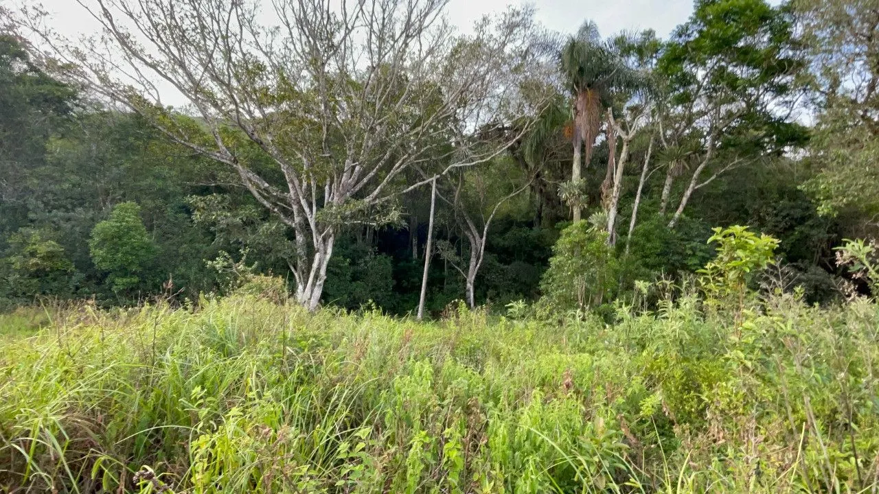 Plot for sale of 9 acres in Santo Antônio da Patrulha, RS, Brazil