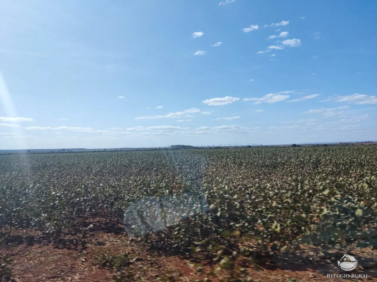 Fazenda à venda de 470 ha em Patos de Minas, MG, Brasil