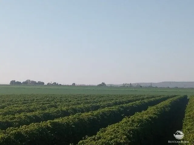 Fazenda à venda de 470 ha em Patos de Minas, MG, Brasil