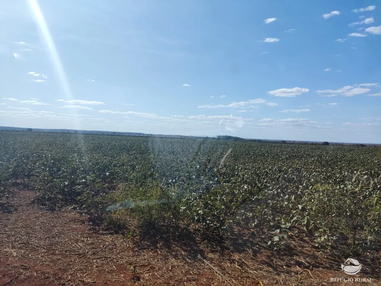 Fazenda à venda de 470 ha em Patos de Minas, MG, Brasil