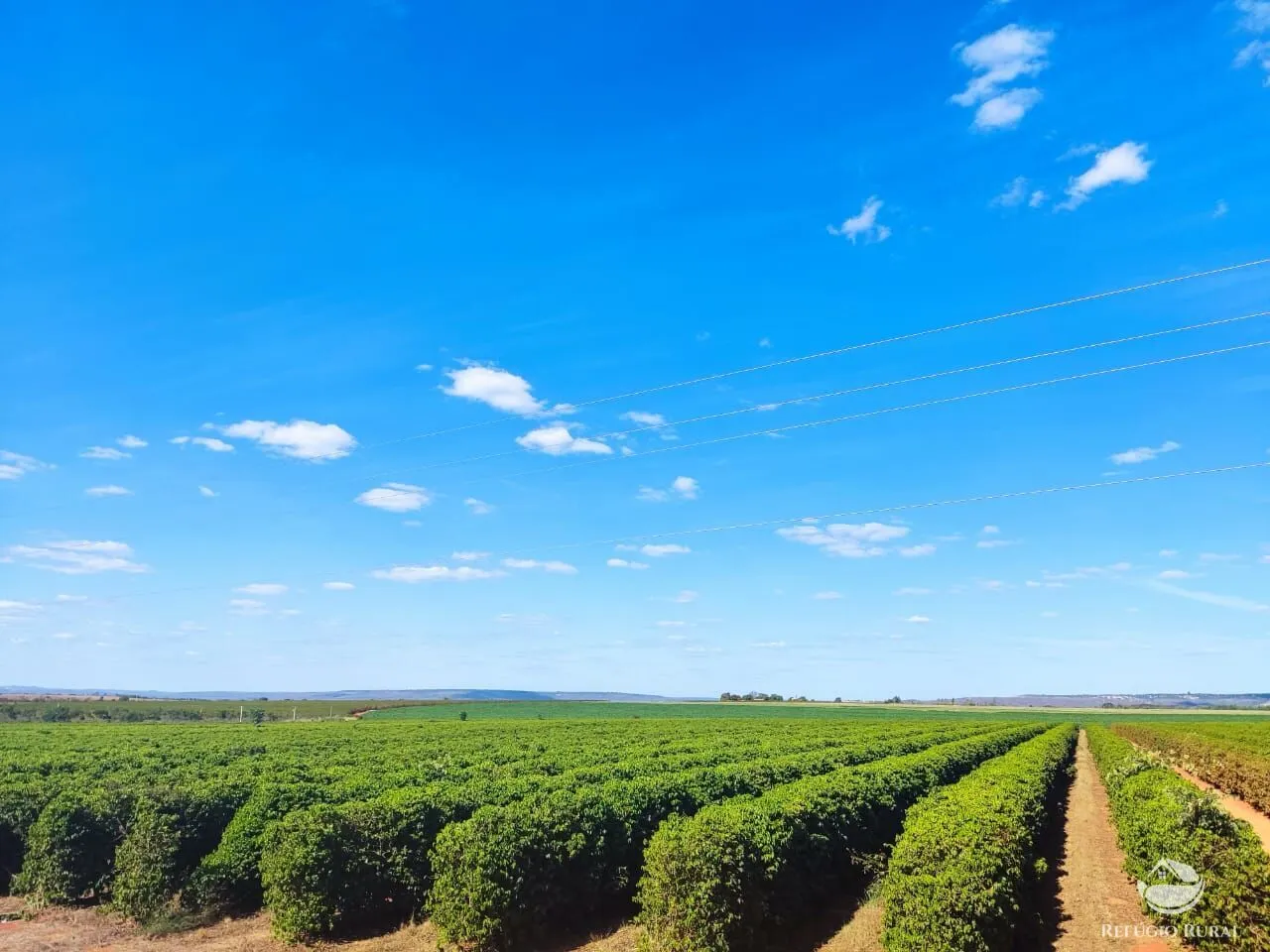 Fazenda à venda de 470 ha em Patos de Minas, MG, Brasil