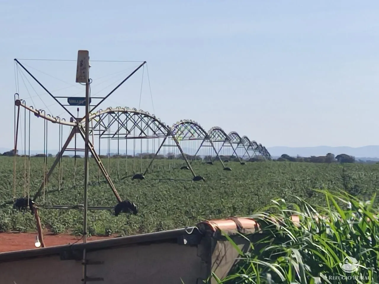 Fazenda à venda de 470 ha em Patos de Minas, MG, Brasil