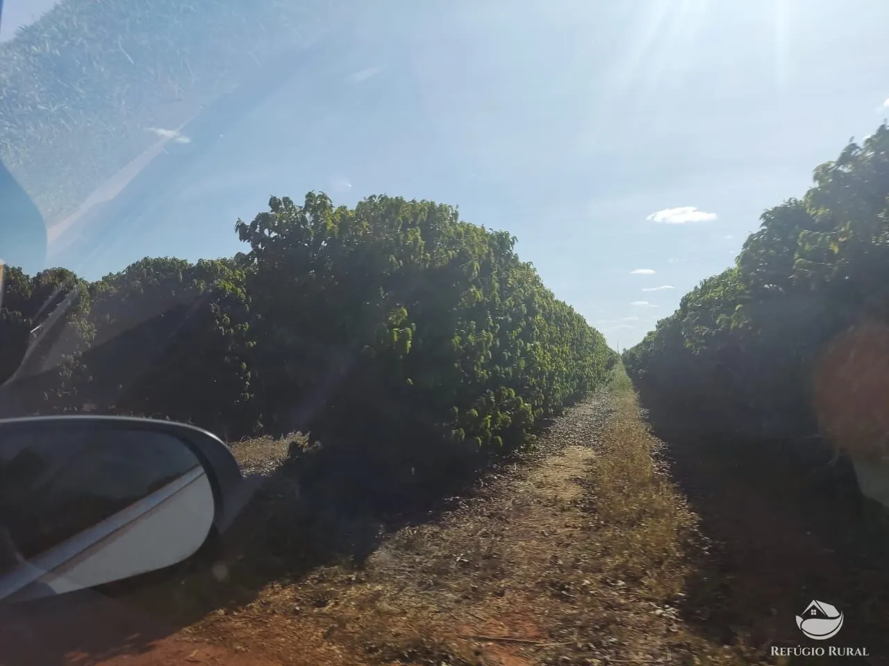 Fazenda à venda de 470 ha em Patos de Minas, MG, Brasil