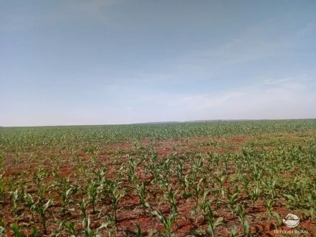 Fazenda à venda de 470 ha em Patos de Minas, MG, Brasil