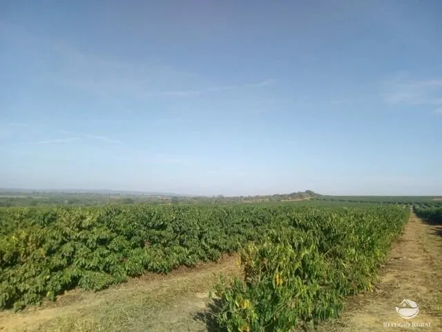 Fazenda à venda de 470 ha em Patos de Minas, MG, Brasil