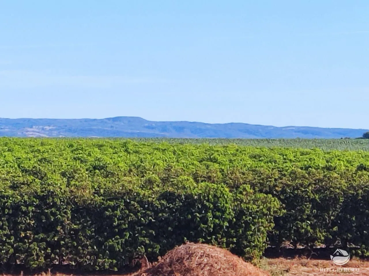 Fazenda à venda de 470 ha em Patos de Minas, MG, Brasil