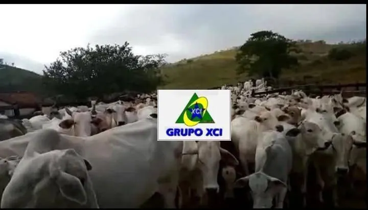 Fazenda à venda de 61 ha em Cachoeira Paulista, SP, Brasil