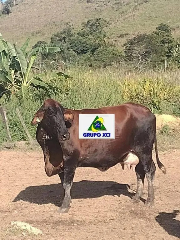 Fazenda à venda de 61 ha em Cachoeira Paulista, SP, Brasil
