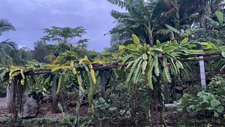 Chácara à venda de 1.000 m² em Osório, RS, Brasil