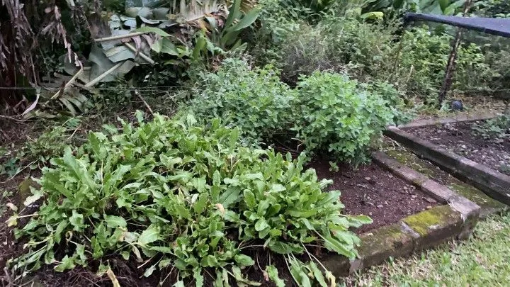 Chácara à venda de 1.000 m² em Osório, RS, Brasil