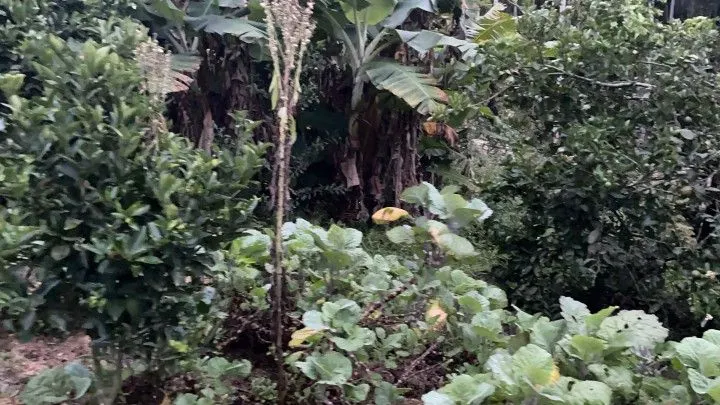 Chácara à venda de 1.000 m² em Osório, RS, Brasil