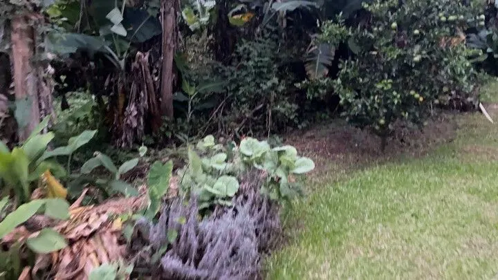Chácara à venda de 1.000 m² em Osório, RS, Brasil