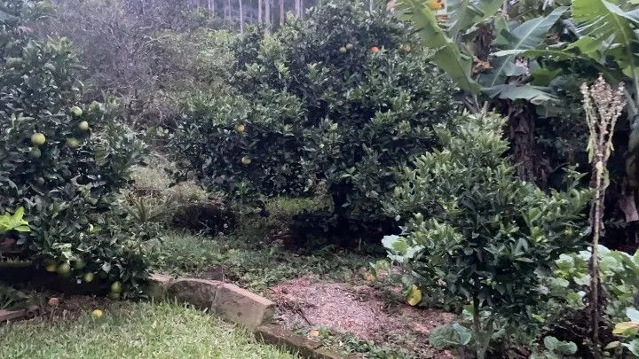 Chácara à venda de 1.000 m² em Osório, RS, Brasil