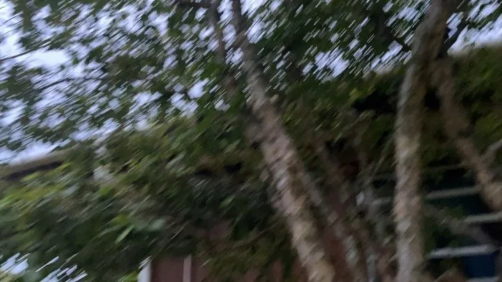 Chácara à venda de 1.000 m² em Osório, RS, Brasil