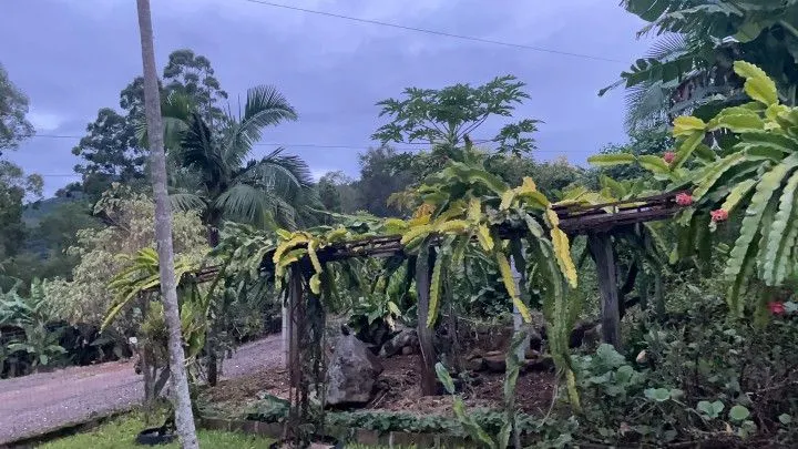 Chácara à venda de 1.000 m² em Osório, RS, Brasil