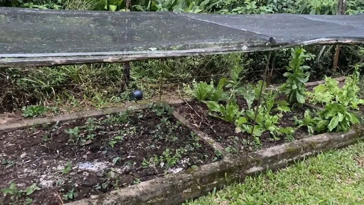 Chácara à venda de 1.000 m² em Osório, RS, Brasil