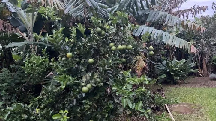 Chácara à venda de 1.000 m² em Osório, RS, Brasil