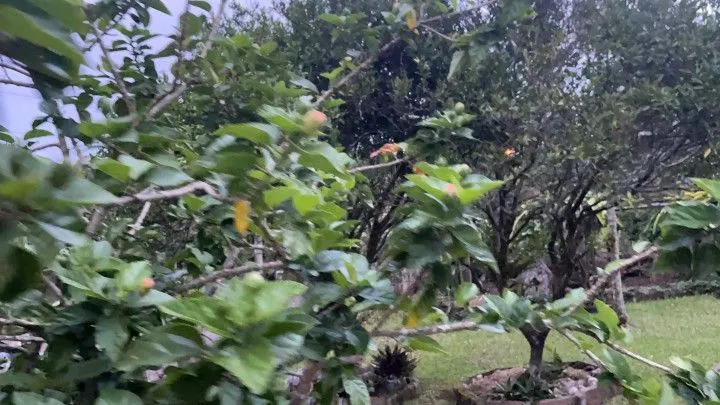 Chácara à venda de 1.000 m² em Osório, RS, Brasil