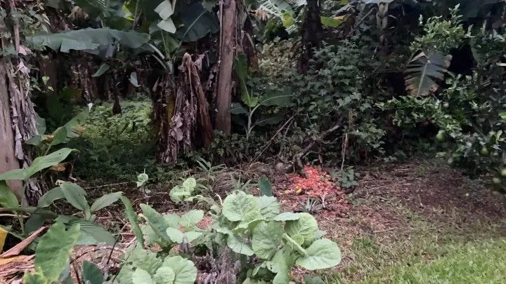 Chácara à venda de 1.000 m² em Osório, RS, Brasil