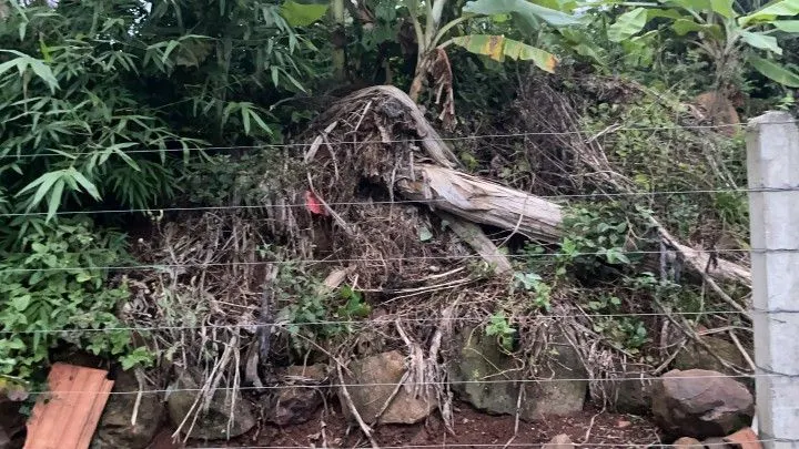 Chácara à venda de 1.000 m² em Osório, RS, Brasil