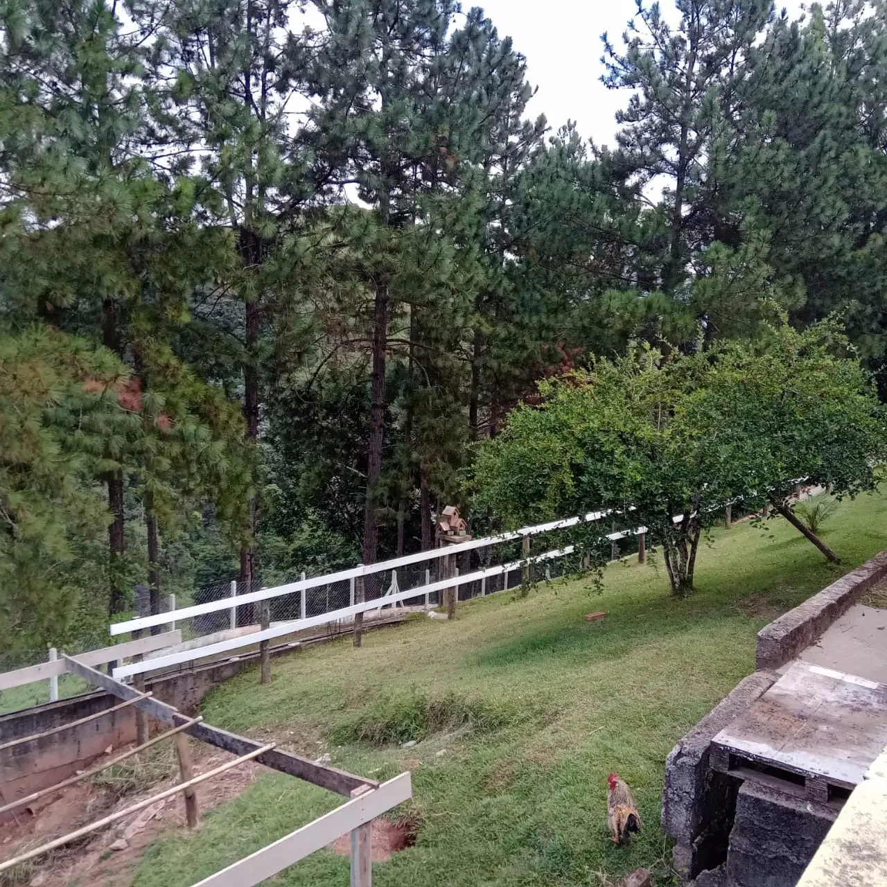 Small farm for sale of 6 acres in Monteiro Lobato, SP, Brazil