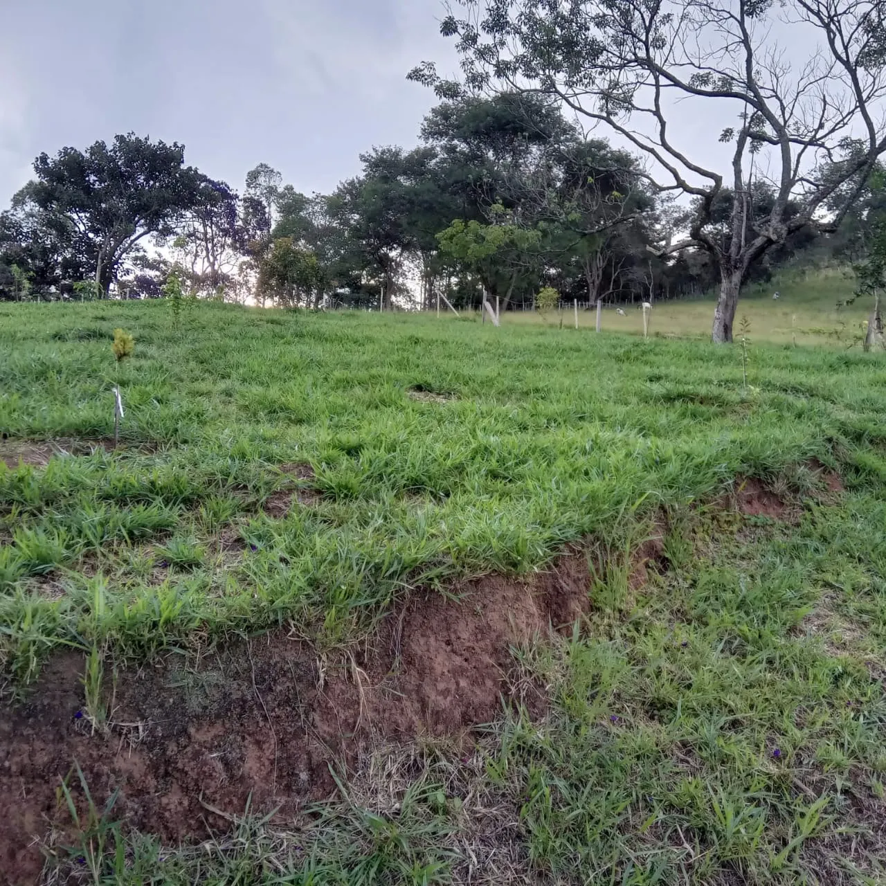 Small farm for sale of 6 acres in Monteiro Lobato, SP, Brazil