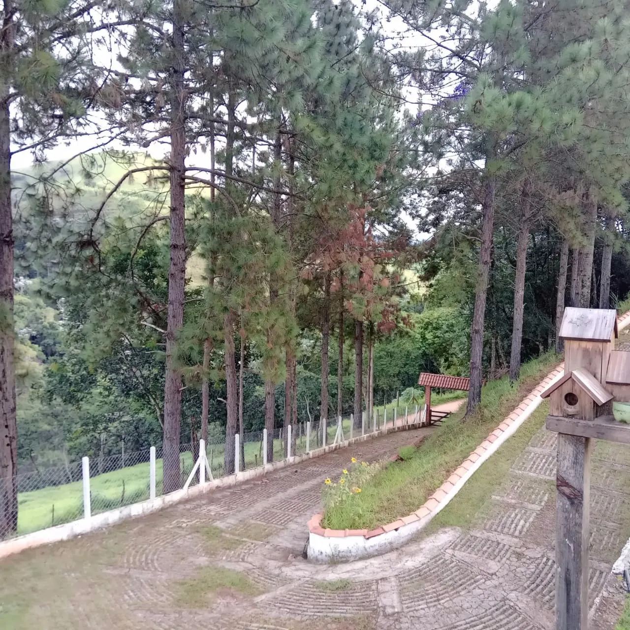 Small farm for sale of 6 acres in Monteiro Lobato, SP, Brazil