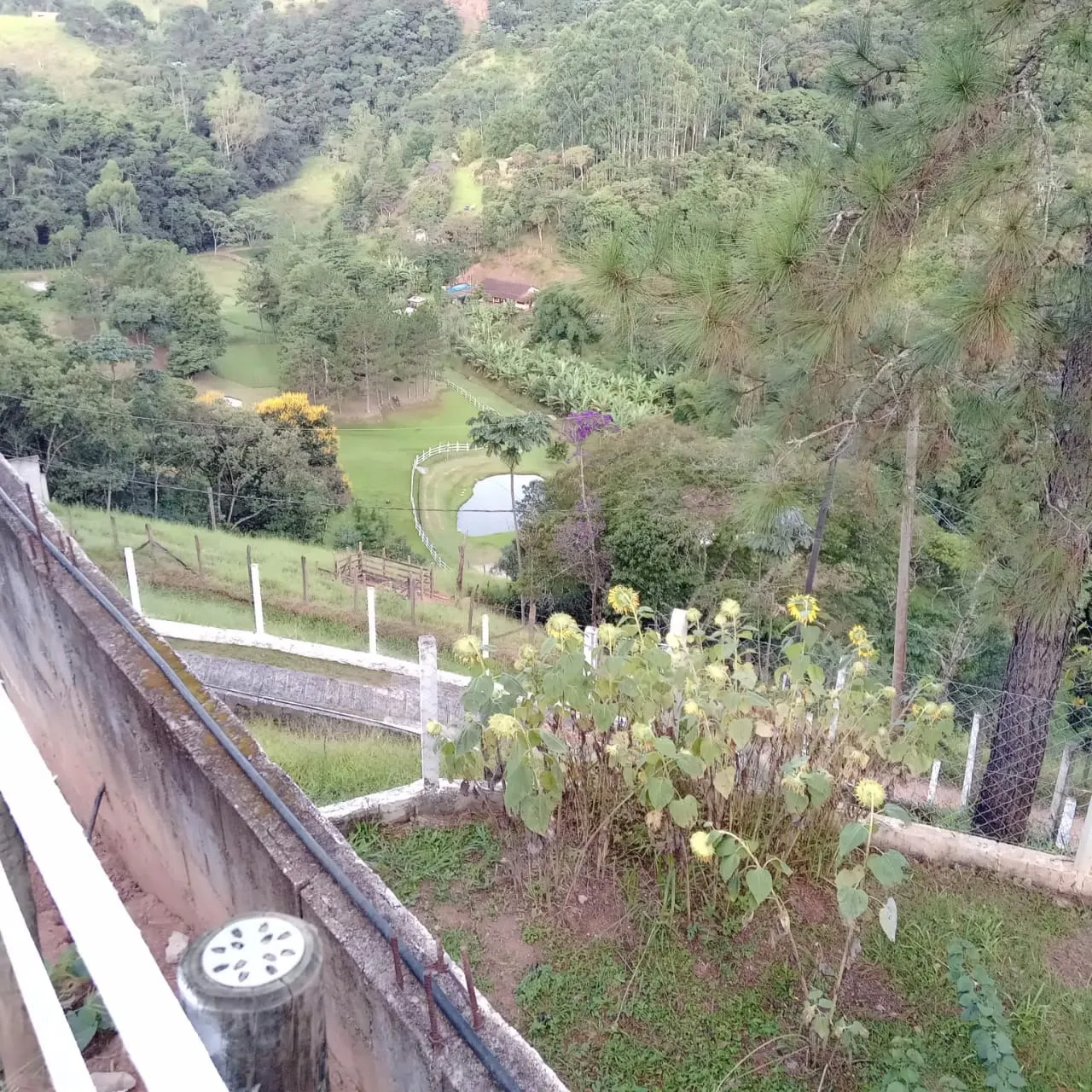 Small farm for sale of 6 acres in Monteiro Lobato, SP, Brazil
