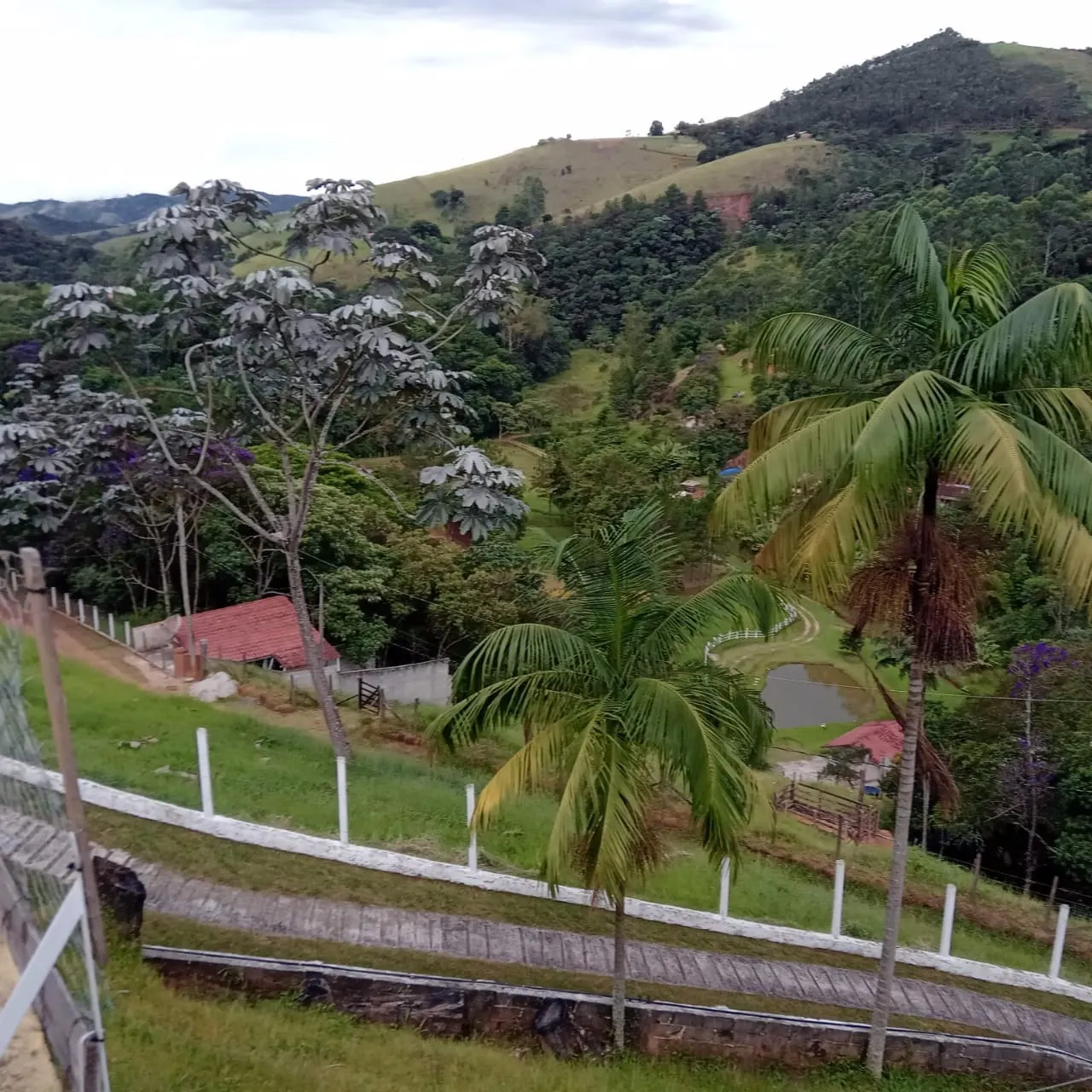 Small farm for sale of 6 acres in Monteiro Lobato, SP, Brazil
