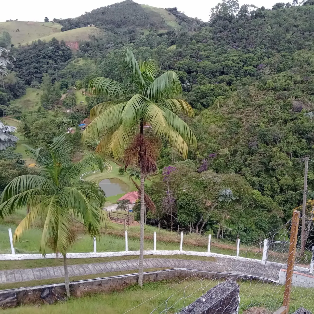 Small farm for sale of 6 acres in Monteiro Lobato, SP, Brazil