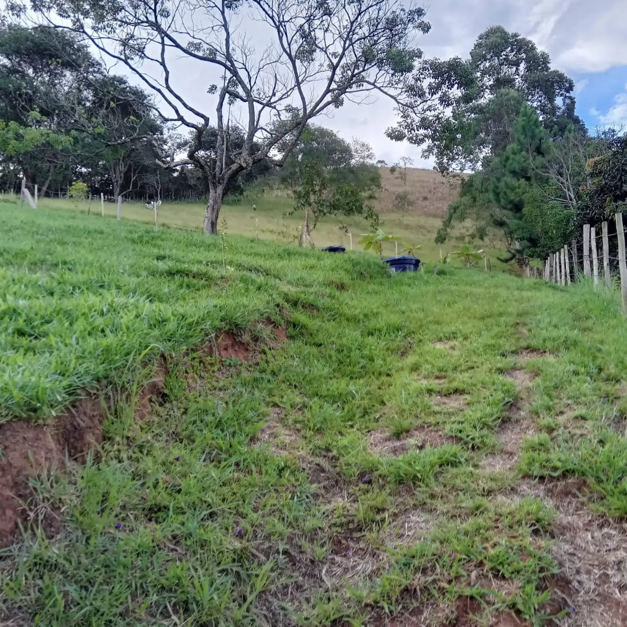 Small farm for sale of 6 acres in Monteiro Lobato, SP, Brazil