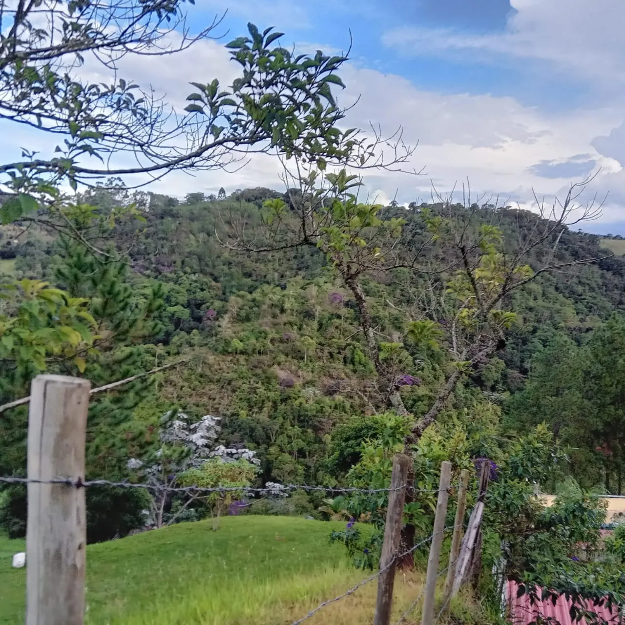 Small farm for sale of 6 acres in Monteiro Lobato, SP, Brazil