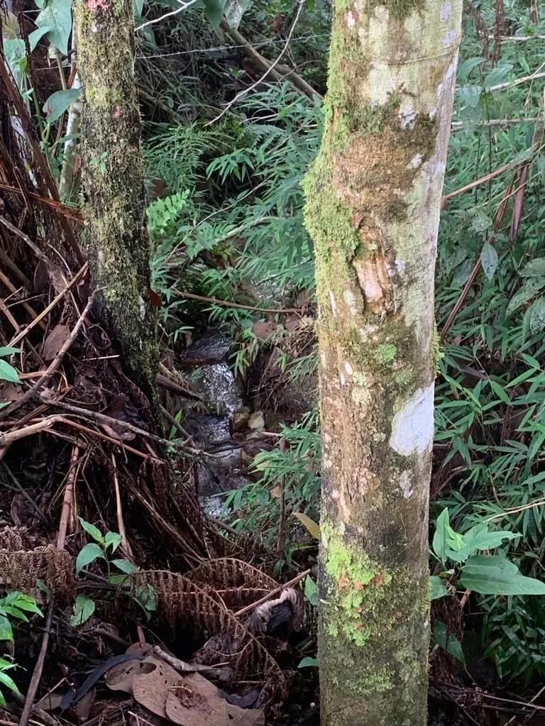 Sítio à venda de 7 ha em São José dos Campos, SP, Brasil